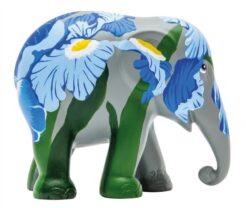Iris 10cm