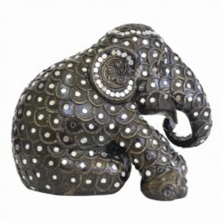 Rachinee 15cm