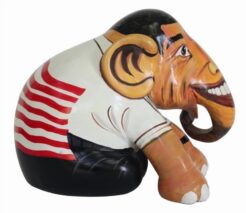 Obama 20cm