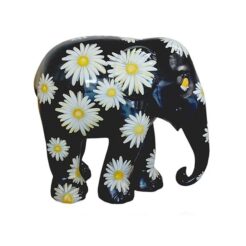 Daisies 20cm