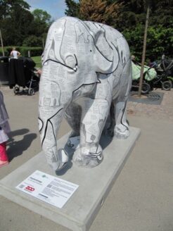 Elephantology 15cm