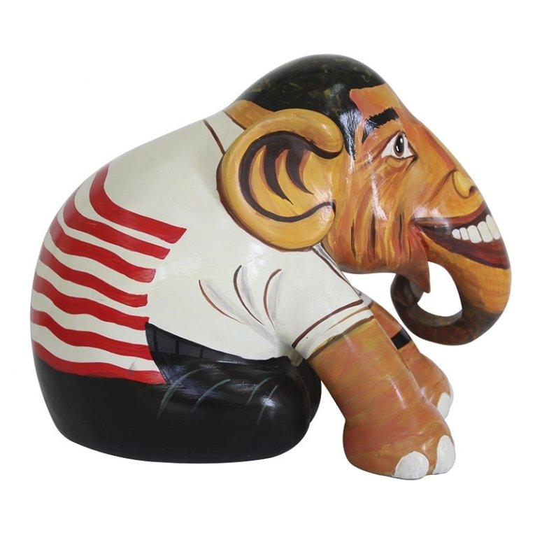 EP 30 cm Obama