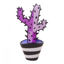 Cactus purple