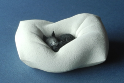 Cat Nap