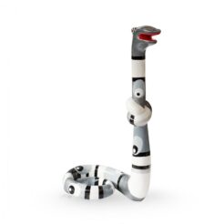 Standing Snake Silverline