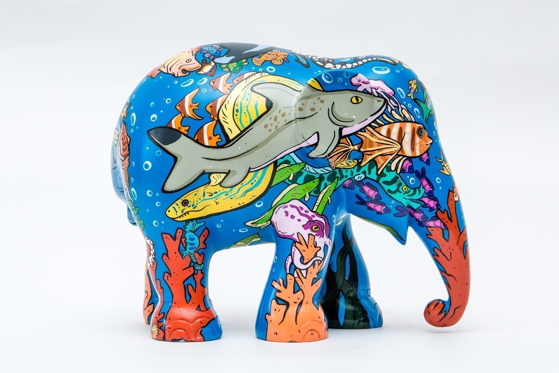 Rainbow Reef 15cm