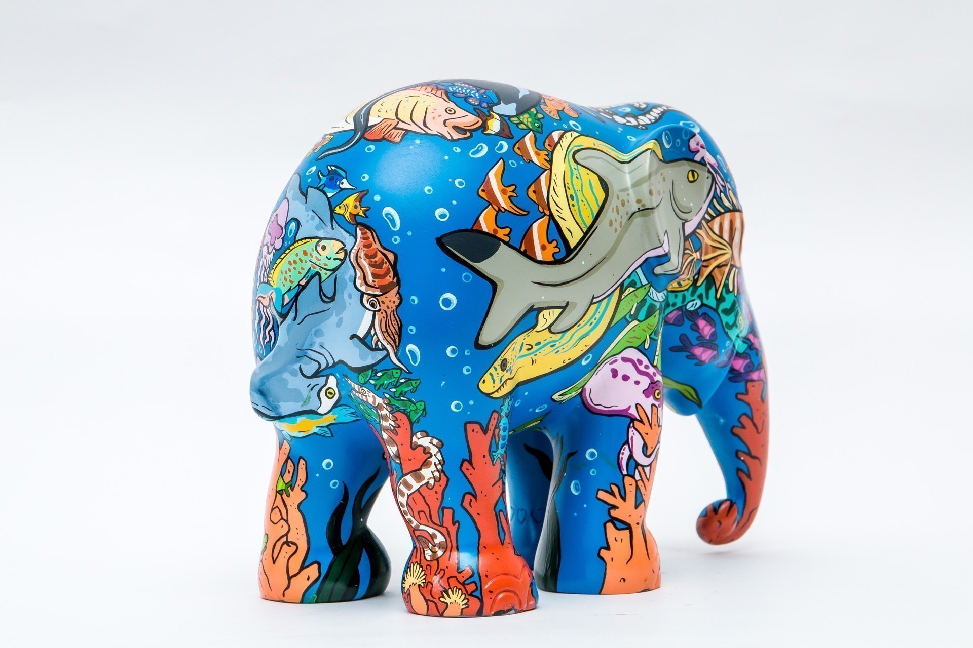 Rainbow Reef 15cm - Image 6