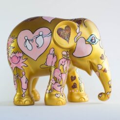 The spirit of India 10cm