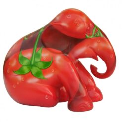 Tomato 20cm
