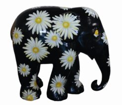 Daisies 10cm