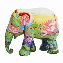 Amazing Lotus 30cm