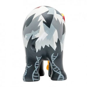 Elefitness Kunst en Kadootjes