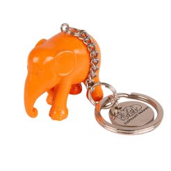Keychain orange