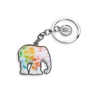 Sleutelhanger rainbow fish Kunst en Kadootjes