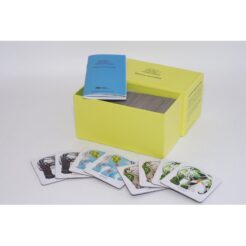 Elephantparade memory game Kunst en Kadootjes