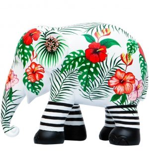 Descolado Kunst en Kadootjes