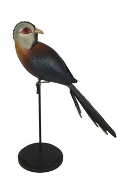 Vogel blauw/bruin Kunst en Kadootjes