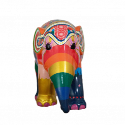 Dumbo Kunst en Kadootjes