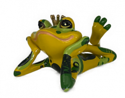 Kikker prince Kunst en Kadootjes