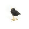 Love Bird Black Kunst en Kadootjes