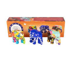 Multipack Beautiful Butterflies Kunst en Kadootjes