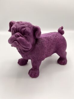 Purple dog