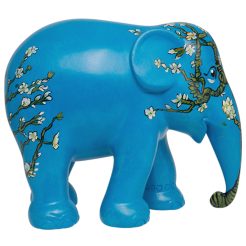 Twisted Almond Blossom 20cm