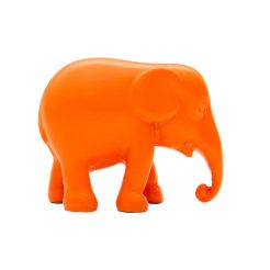 Pick&Mix Apricot 5cm