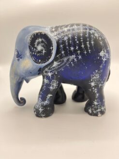 First Edition - Stardust 20cm