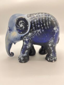 First Edition - Stardust 20cm
