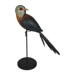Bird blue/brown