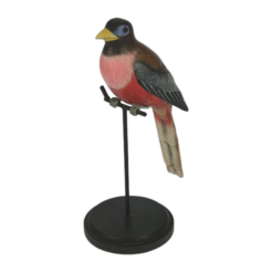 Bird brown/red