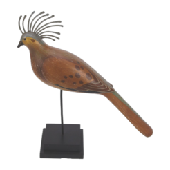 Crowned Pigeon