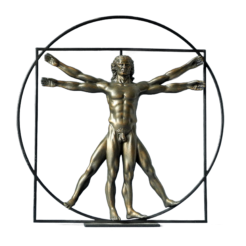 Da Vinci “De Man van Vitruvius”