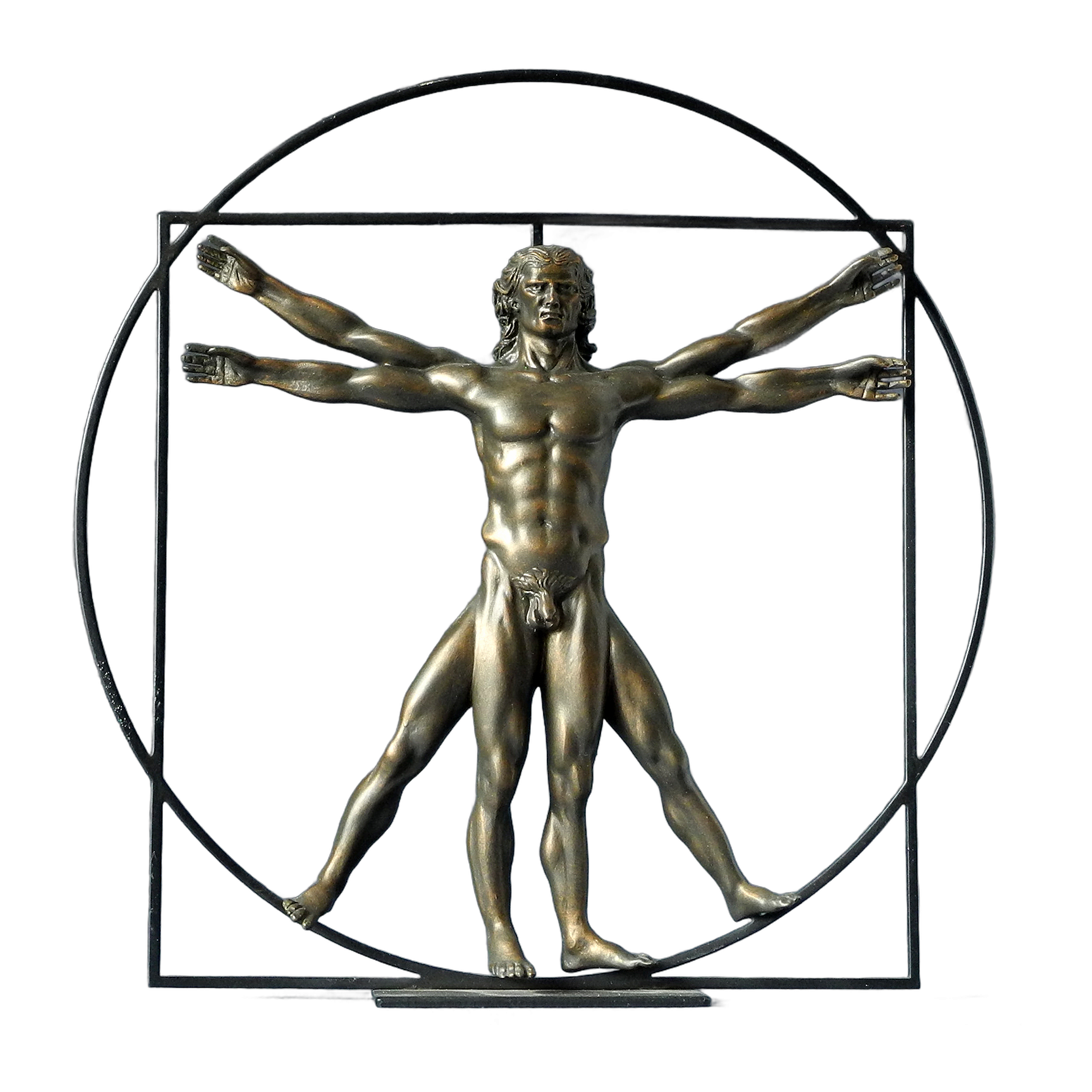 Da Vinci “The Vitruvian Man”