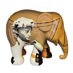 David 20cm