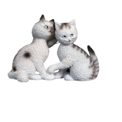 Les Confidences: Twee speelse witte katjes