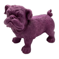Purple dog