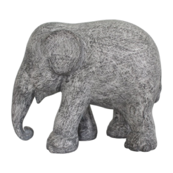 Scratch 20cm