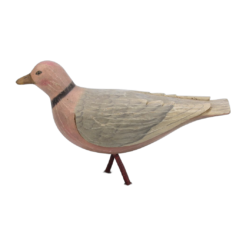 Seagull