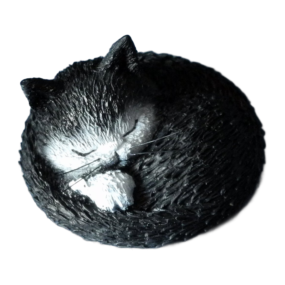 Siesta