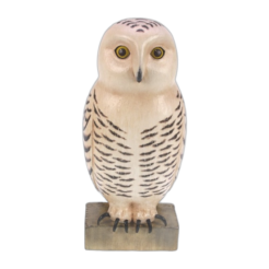 Snowy Owl