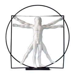 The Vitruvian Man (white)