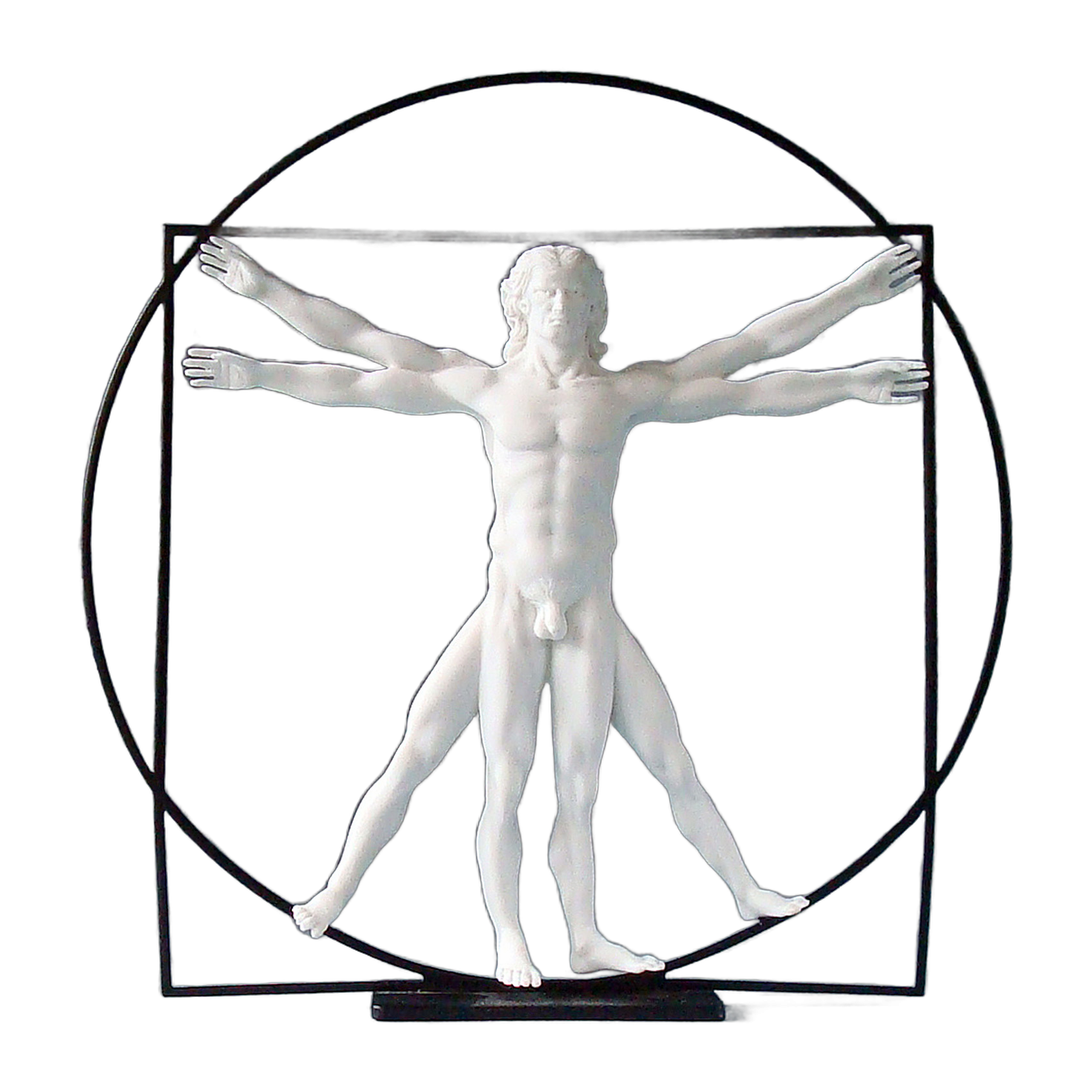 The Vitruvian Man (white)