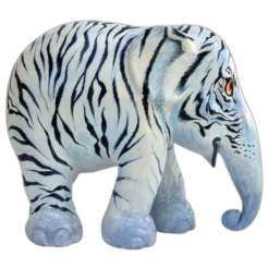 White Tiger