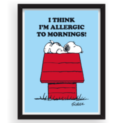 Snoopy asleep on the roof of his red doghouse beneath the words I think I'm allergic to mornings, framed Peanuts print in a black frame